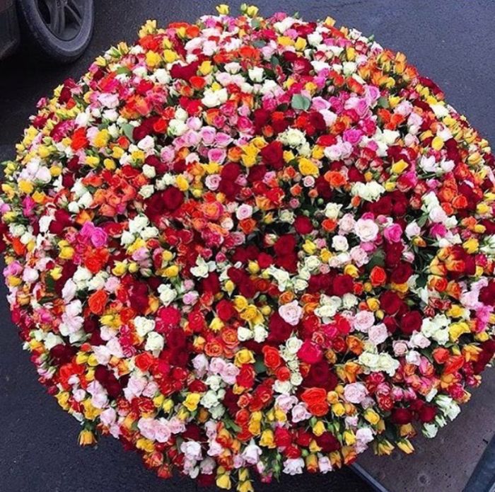 1001 Shrub Rose Mix in a basket