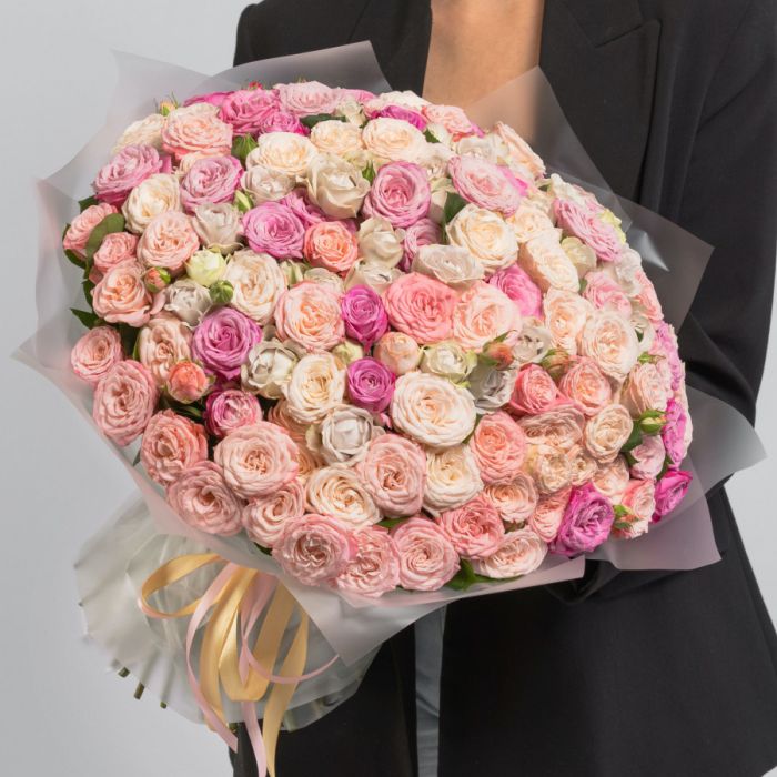 101 Shrub Peony Rose Mix (50 cm.)