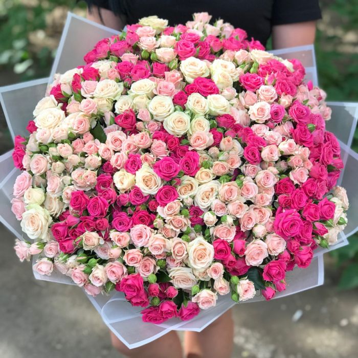 101 Bush Raspberry and Pink Rose (50 cm.)