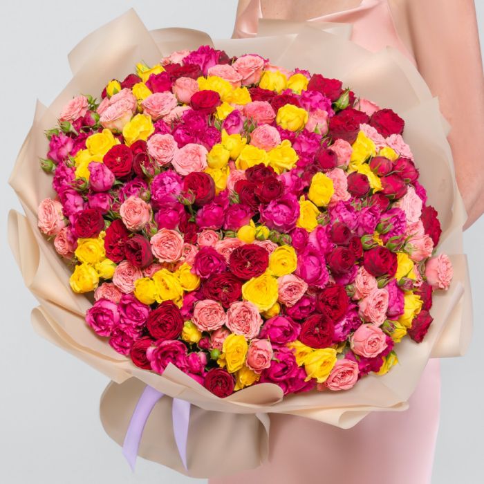 101 Shrub Peony Rose Mix (30 cm.)