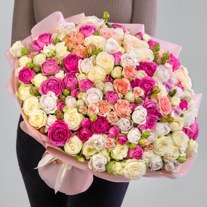 101 Shrub Peony Rose Mix (40 cm.)