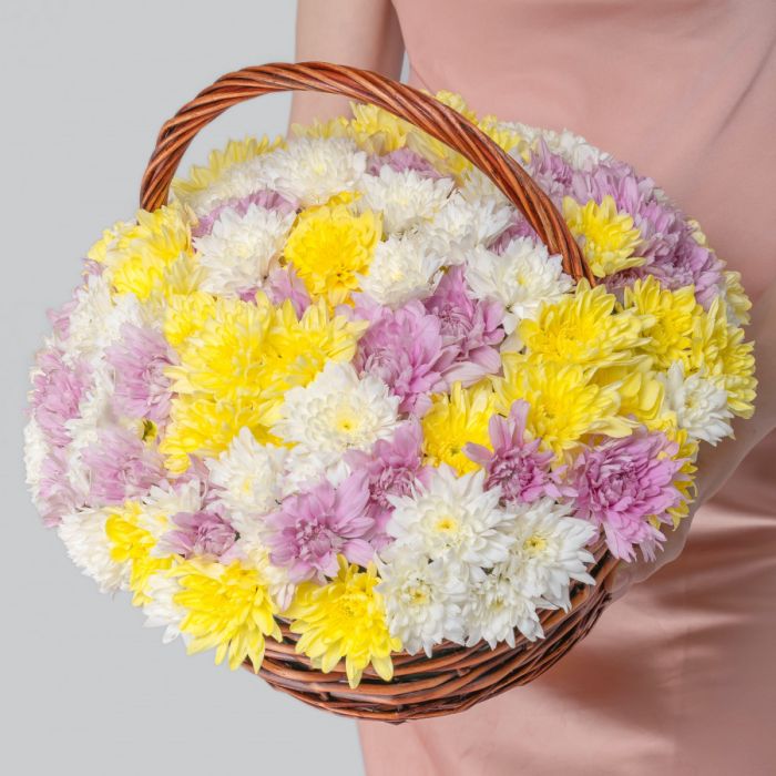 15 Chrysanthemums Mixed in a basket