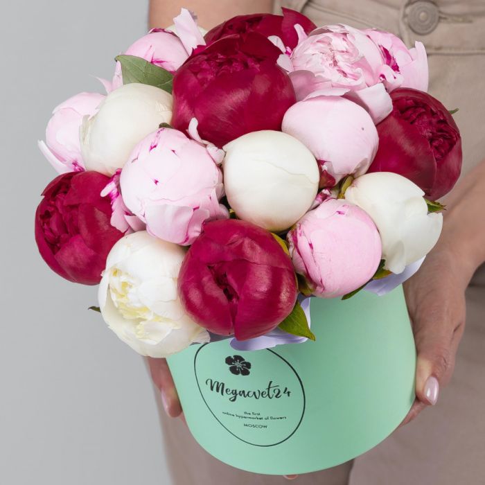 15 Peonies Mix in a box