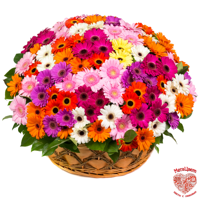 151 Gerbera Mix in a basket