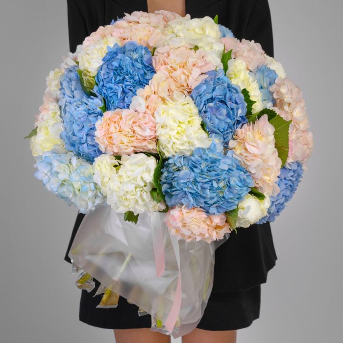 25 Hydrangeas Mix