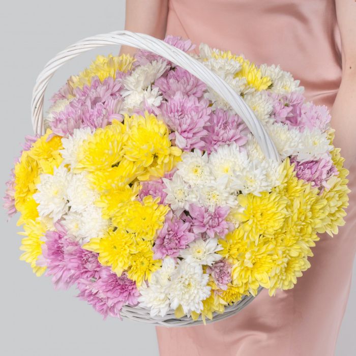 25 Bush Chrysanthemums Mix in a basket