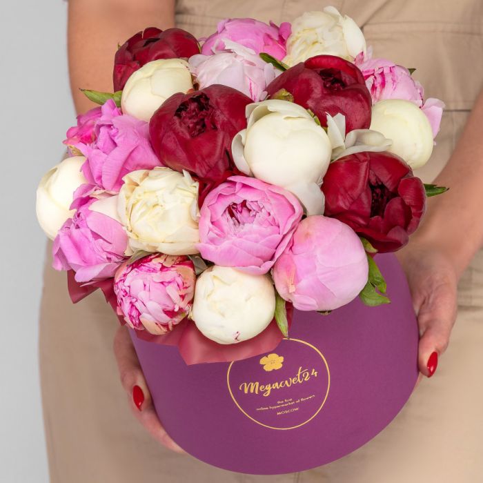 25 Peonies Mix in a box