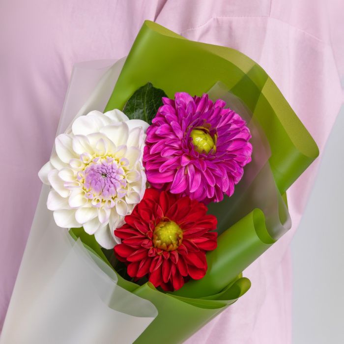 Corporate bouquet Т3 Dahlia MixУ