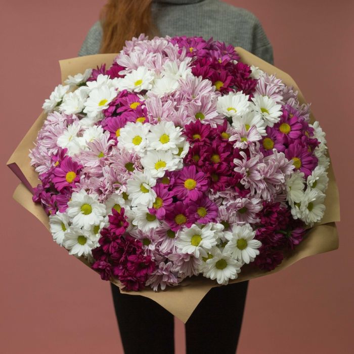 31 Bush White-Pink Chrysanthemum