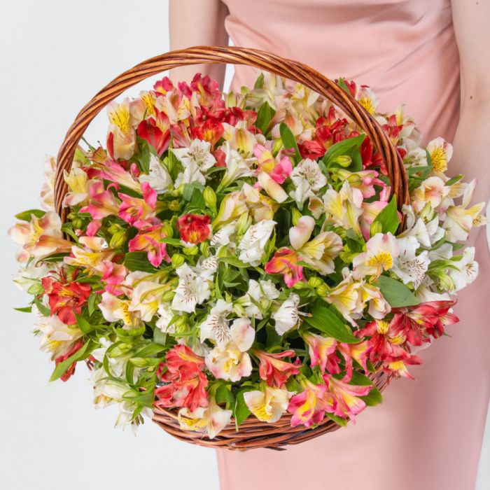 35 Alstromeria Mix in a basket