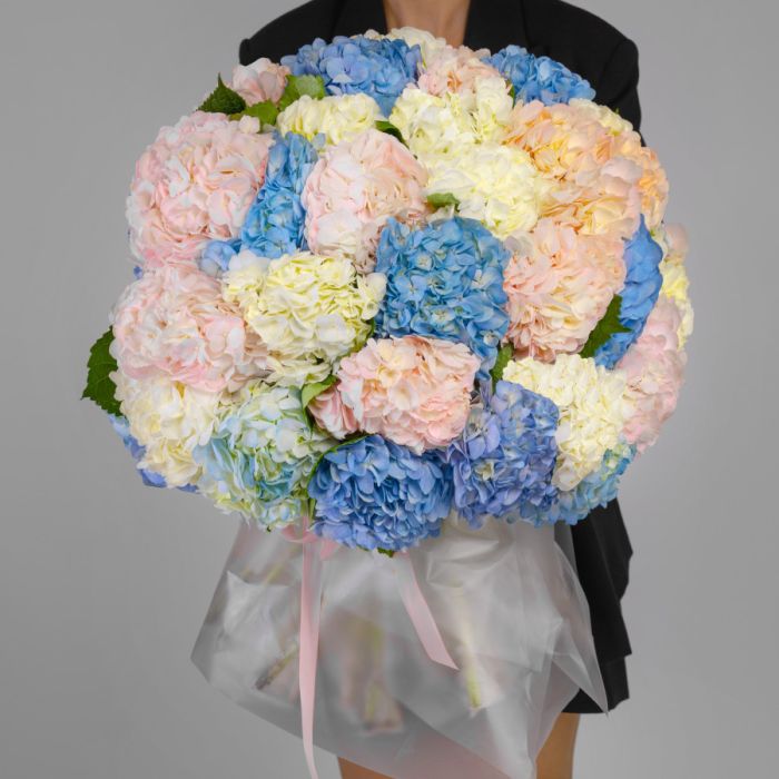 35 Hydrangeas Mix