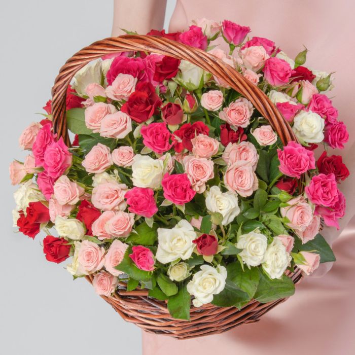 35 Shrub Roses Mix in a basket