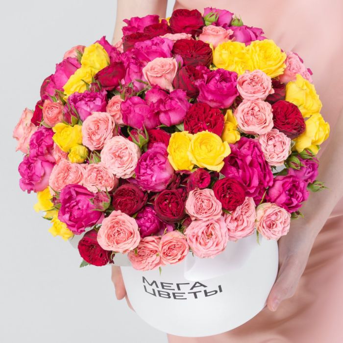 45 Shrub Peony Mix Roses in a box