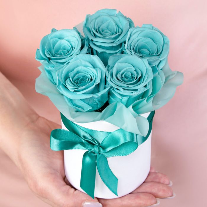 5 Turquoise Roses stabilized in a box