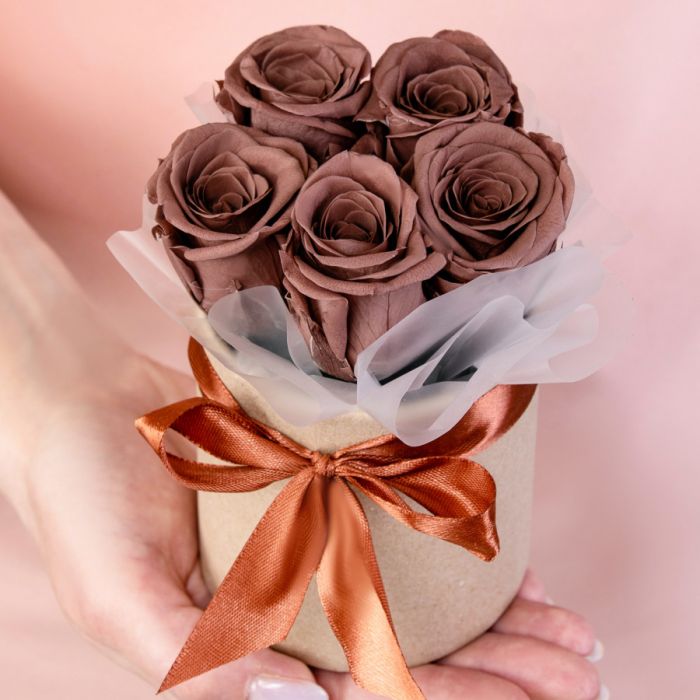 5 Brown Roses stabilized in a box