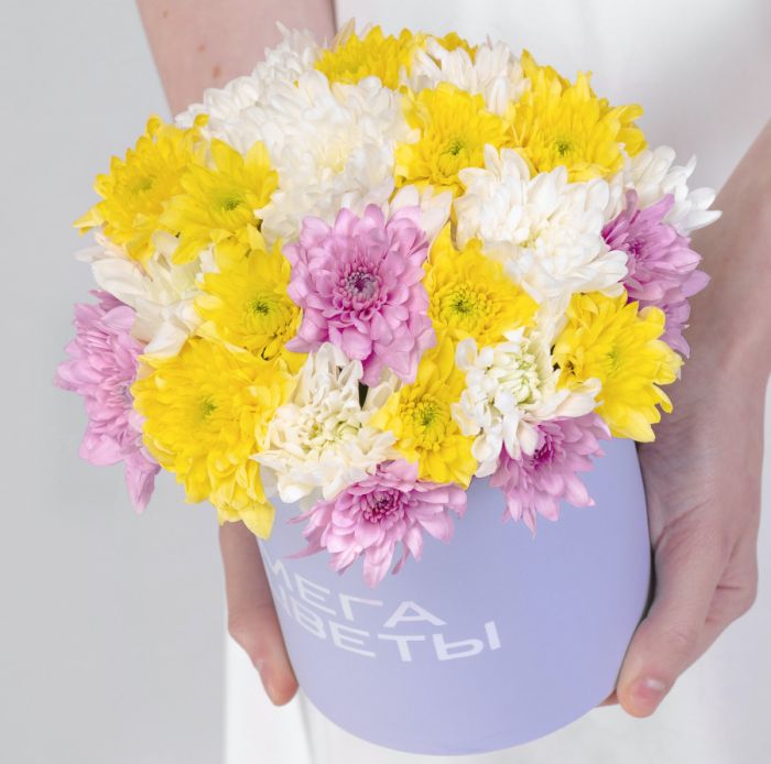 5 Chrysanthemums Mix in a box