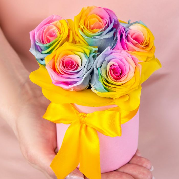 5 Rainbow Roses stabilized in a box