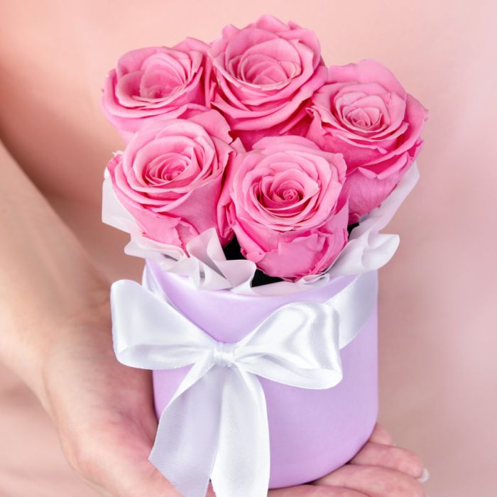 5 Pink Roses stabilized in a box