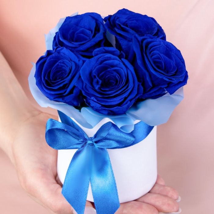 5 Blue Roses stabilized in a box