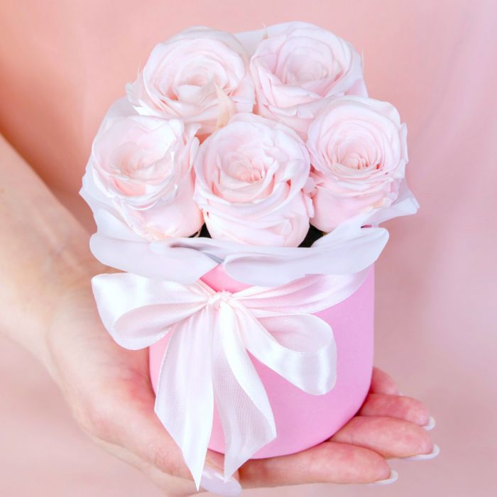 5 Light Pink Roses stabilized in a box