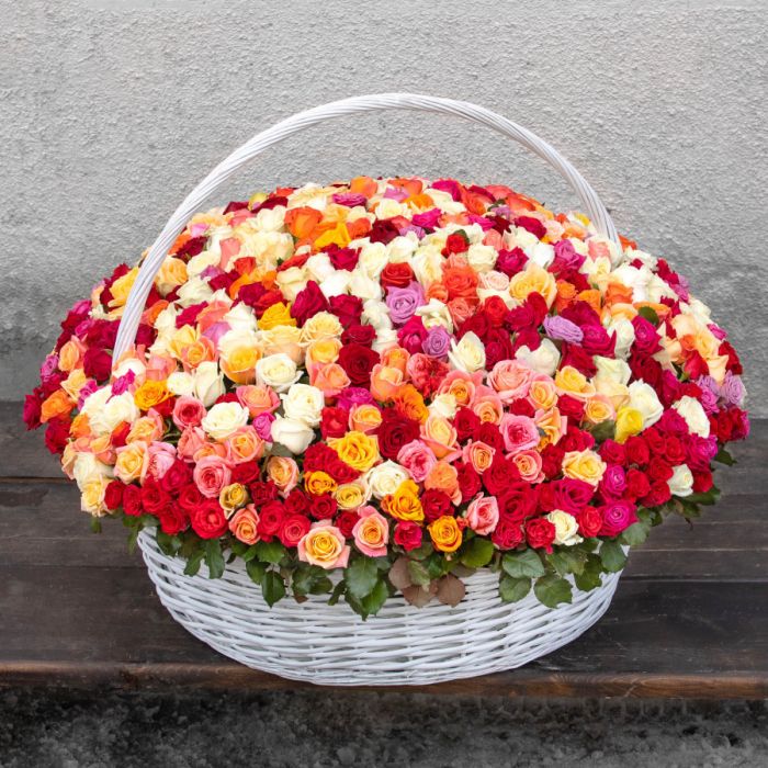 501 Rose Mix in a basket