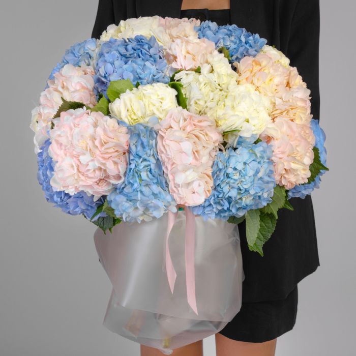 51 Hydrangea Mix