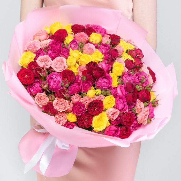 51 Shrub Peony Rose Mix (30 cm.)