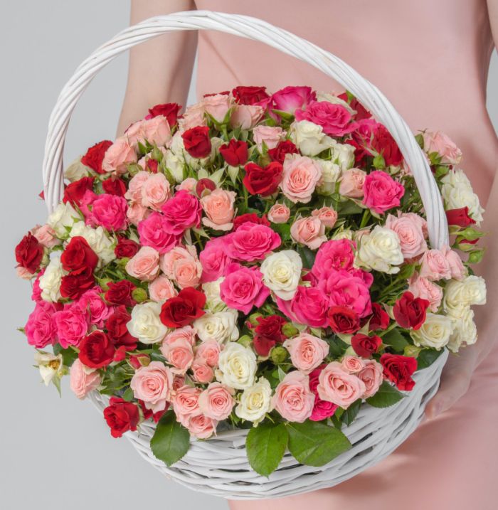 55 Shrub Roses Mixed in a basket