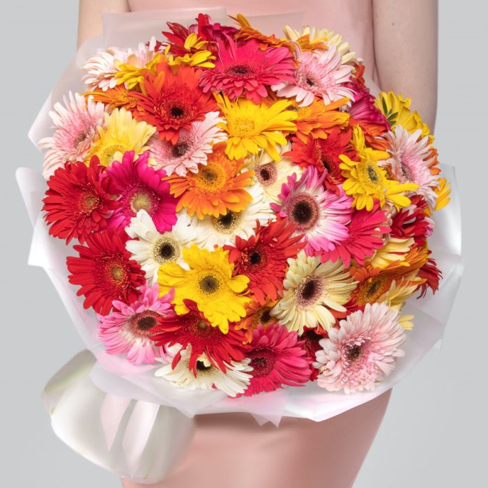 51 Gerbera Mix