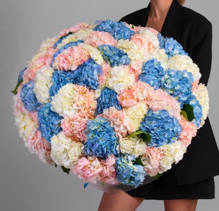 75 Hydrangeas Mix