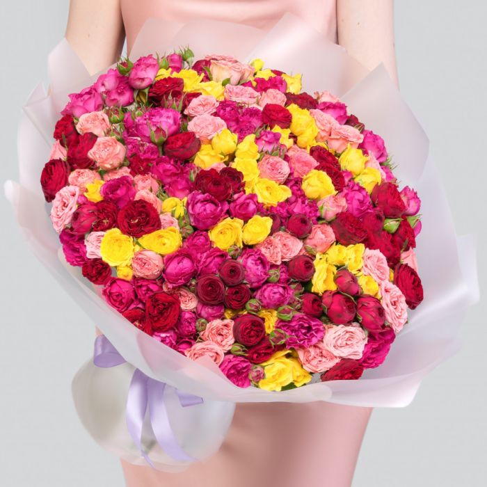 75 Shrub Peony Rose Mix (30cm.)