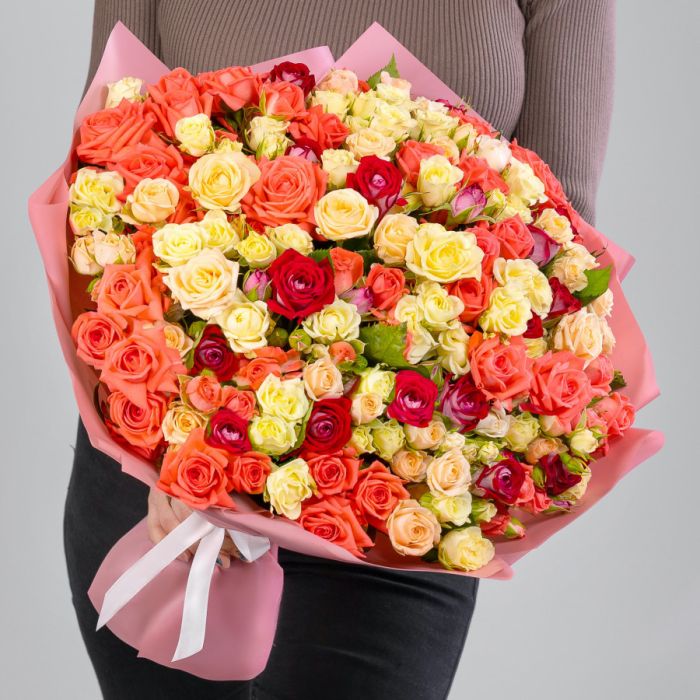 75 Shrub Roses Mix (40 cm.)