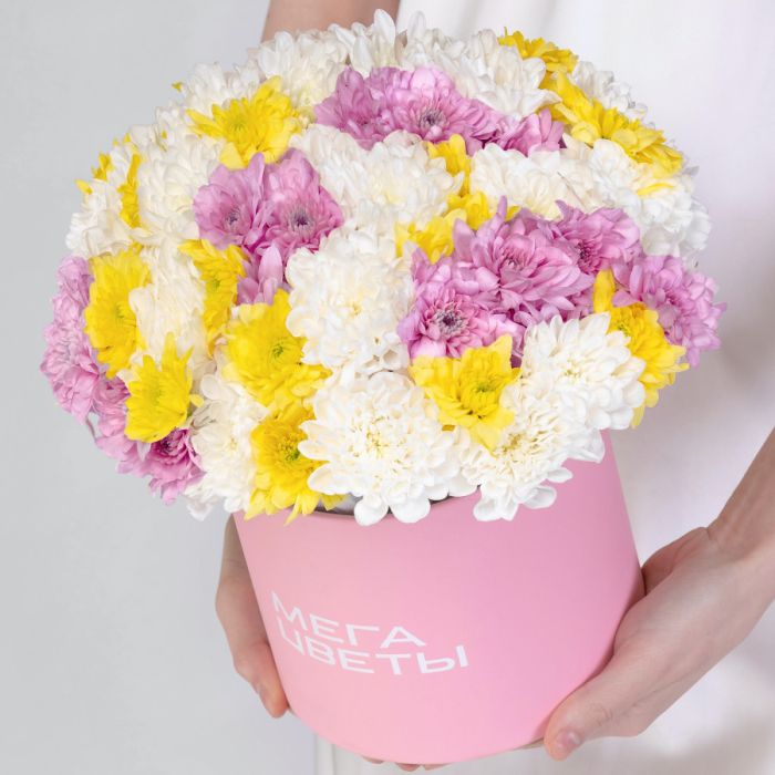 15 Bush Chrysanthemums Mix in a box