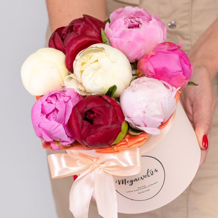 9 Peonies Mix in a box