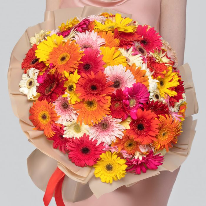 101 Gerbera Mix