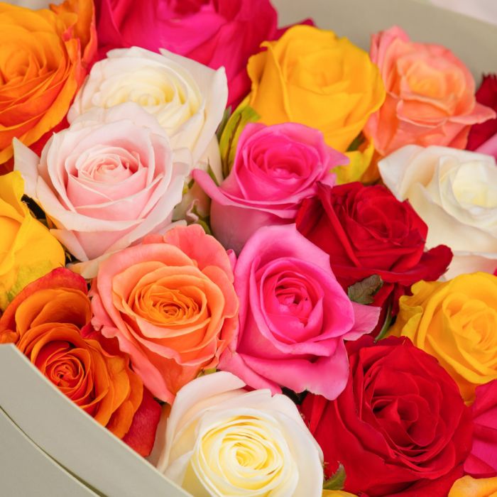 29 Mix Roses (70 cm.)