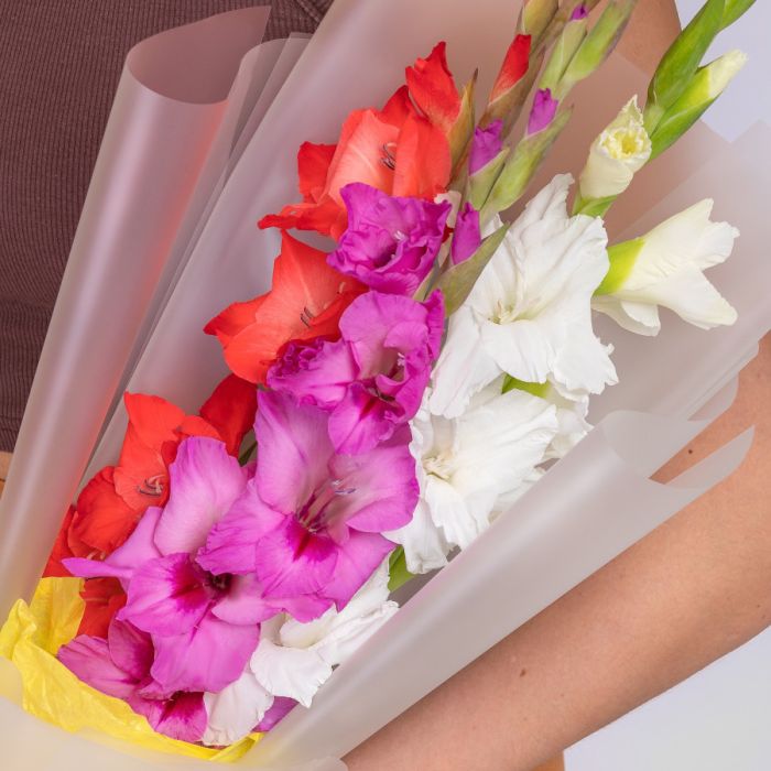 Bouquet of flowers Т3 Multicolored GladiolusУ