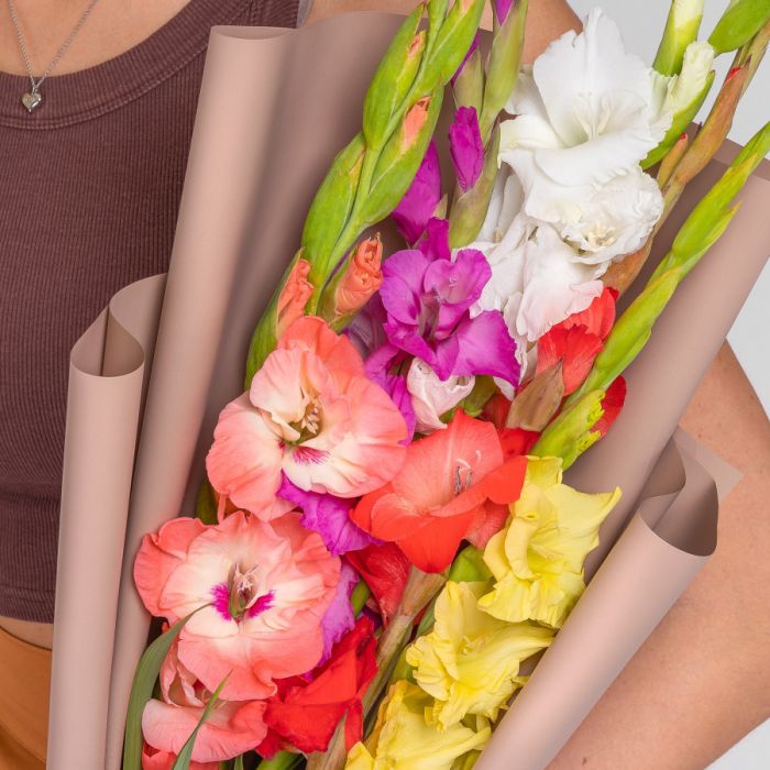 Bouquet of flowers Т5 Multicolored GladiolusesУ