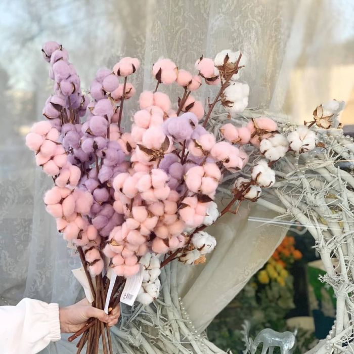 Bouquet ТPink-Purple Cotton MidiУ dried flowers